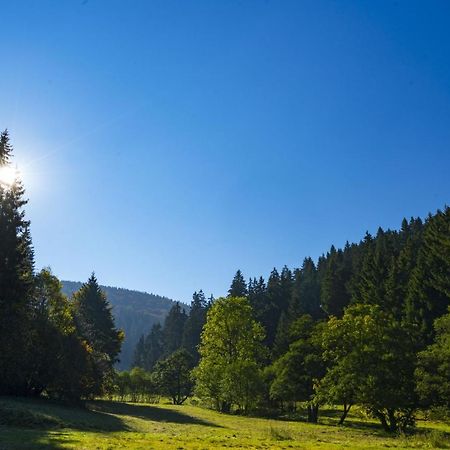 The Conscious Farmer Bed And Breakfast Sauerland Willingen  Zewnętrze zdjęcie