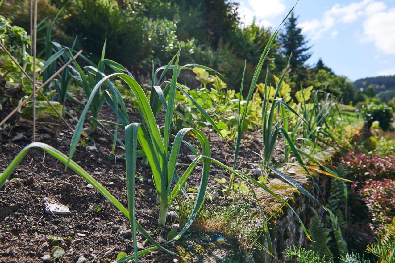 The Conscious Farmer Bed And Breakfast Sauerland Willingen  Zewnętrze zdjęcie
