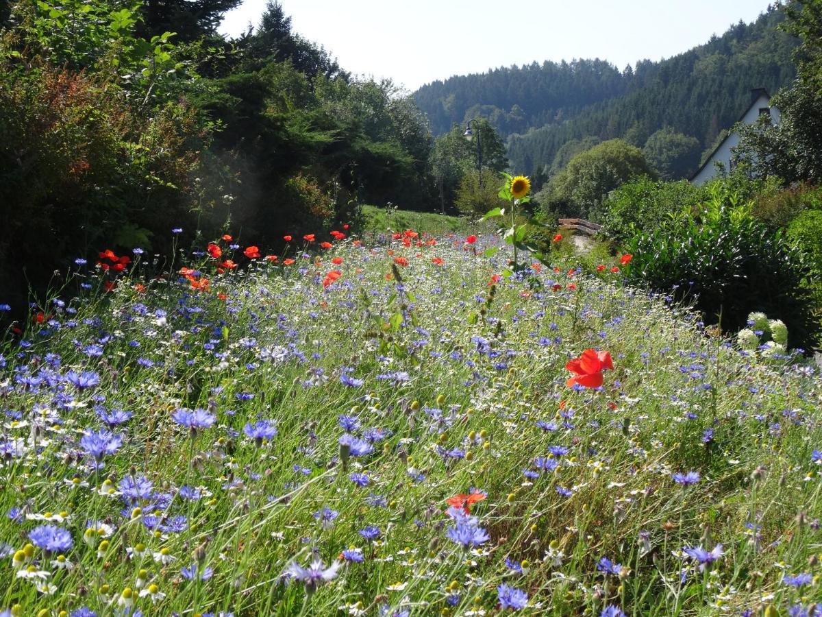 The Conscious Farmer Bed And Breakfast Sauerland Willingen  Zewnętrze zdjęcie