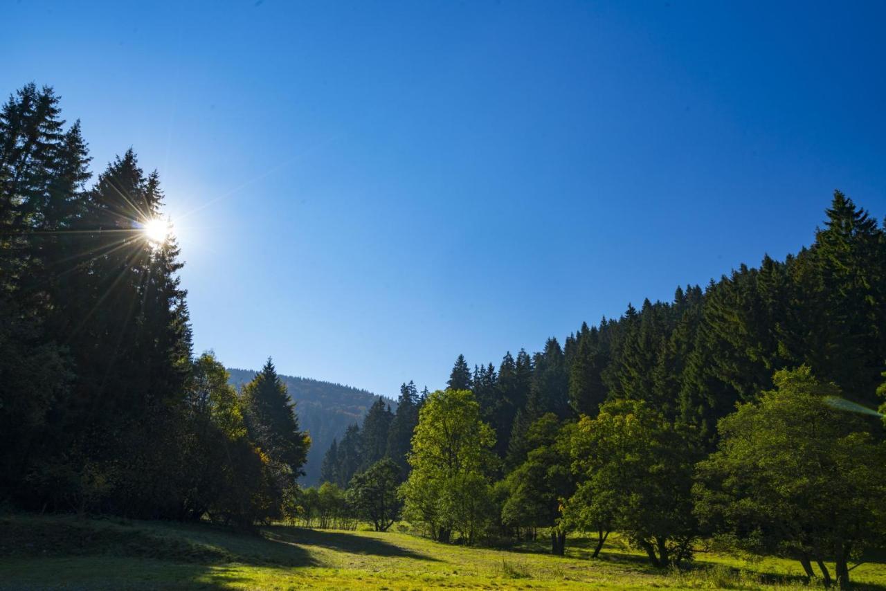 The Conscious Farmer Bed And Breakfast Sauerland Willingen  Zewnętrze zdjęcie