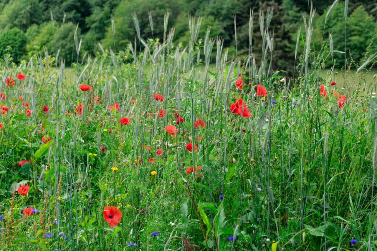 The Conscious Farmer Bed And Breakfast Sauerland Willingen  Zewnętrze zdjęcie